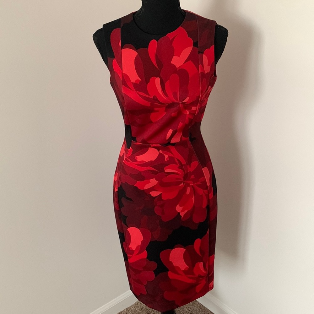 Calvin Klein multicolored Red possibly flowered sheath dress